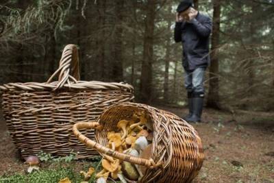 В лесу Тверской области нашли тело грибника