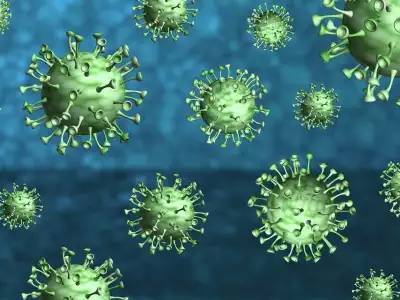 В России выделили больше 100 штаммов коронавируса