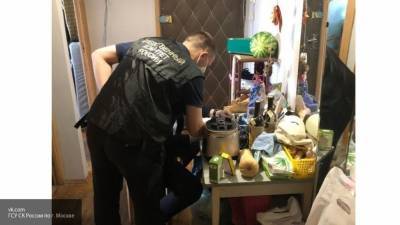 СК требует арестовать фигурантов дела о продаже младенцев в Москве
