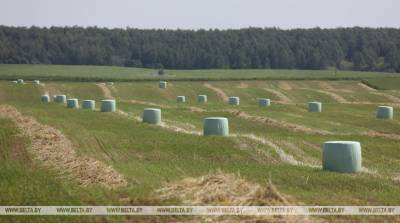 В Минской области завершается заготовка трав второго укоса