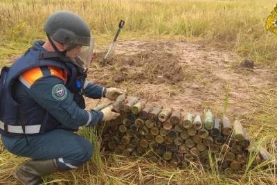 В Тверской области рядом с Победой обнаружили бутылки с зажигательной смесью