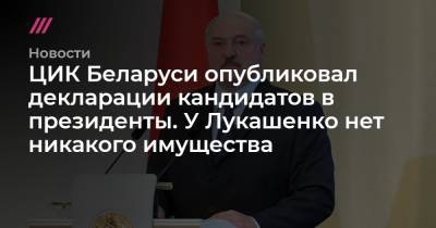 ЦИК Беларуси опубликовал декларации кандидатов в президенты. У Лукашенко нет никакого имущества