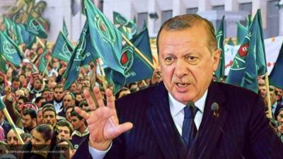 ЛАГ: действия Турции в Ливии направлены против арабской нацбезопасности