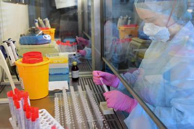 Объяснено нахождение более 100 штаммов коронавируса в России