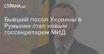 Бывший посол Украины в Румынии стал новым госсекретарем МИД