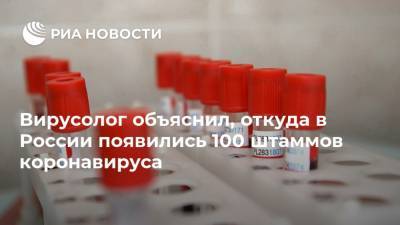 Вирусолог объяснил, откуда в России появились 100 штаммов коронавируса