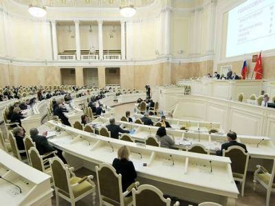 Депутат назвала позорные страницы работы петербургского парламента