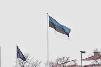 Юри Луйк - Министр обороны Эстонии заявил о готовности противостоять «восточному соседу» - pnp.ru - Украина - Эстония