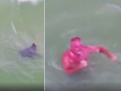 Обгоревший турист решил поплавать со скатами у побережья Флориды