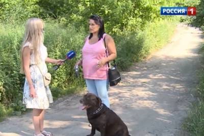 Псковичка подает в суд на хозяина трех агрессивных собак, которые ее покусали