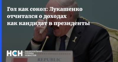 Гол как сокол: Лукашенко отчитался о доходах как кандидат в президенты