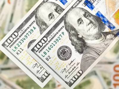 НБУ устанавливает курс доллара в угоду иностранным спекулянтам - экономист