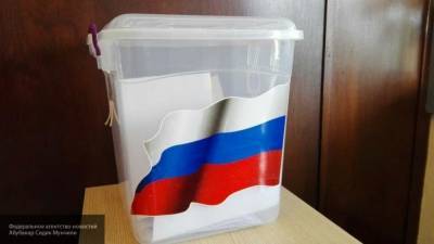 Противники поправок в Конституцию РФ в Петербурге не смогли собрать подписи для их отмены