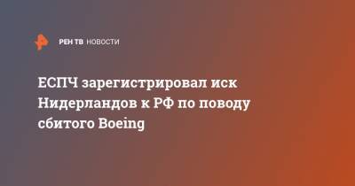 ЕСПЧ зарегистрировал иск Нидерландов к РФ по поводу сбитого Boeing