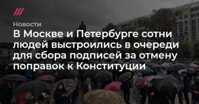 В Москве и Петербурге сотни людей выстроились в очереди для сбора подписей за отмену поправок к Конституции