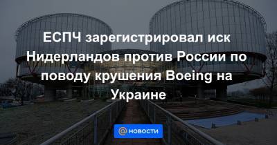 ЕСПЧ зарегистрировал иск Нидерландов против России по поводу крушения Boeing на Украине