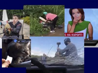 Сергей Беляев - Самые интересные видео 15 июля - bloknot.ru