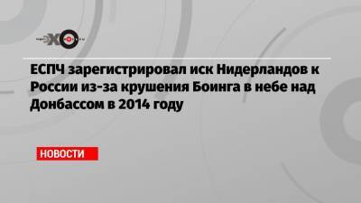 ЕСПЧ зарегистрировал иск Нидерландов к России из-за крушения Боинга в небе над Донбассом в 2014 году