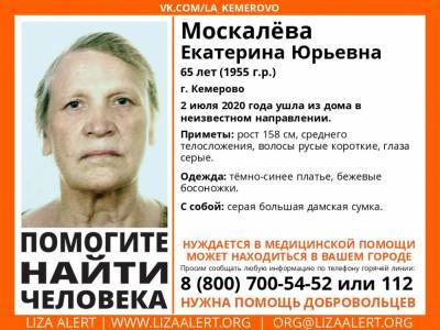 В Кемерове две недели ищут пропавшую женщину
