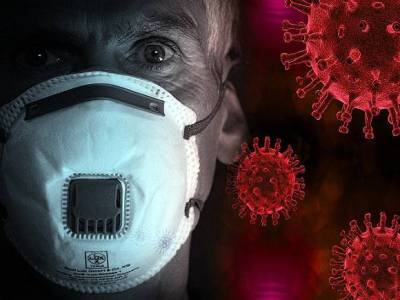 В Бразилии за сутки от коронавируса скончались 1233 человека