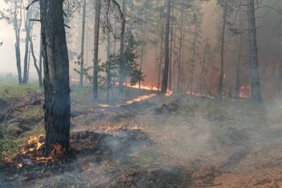 В Хабаровском крае действуют 7 природных пожаров
