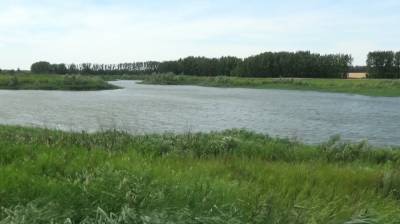 В Воронежской области на прудах-миллионниках заменят опасные плотины