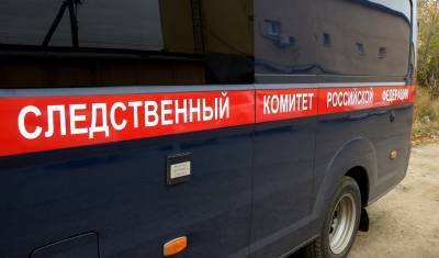 В Казанском районе Тюменской области утонула 8-летняя девочка