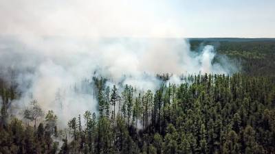 Спасатели третьи сутки тушат лесной пожар в Ханты-Мансийске