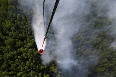 В ХМАО горит более 12 тыс. га леса