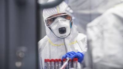 В России провели больше 24 млн тестов на коронавирус