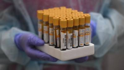 В России провели более 24 млн тестов на коронавирус