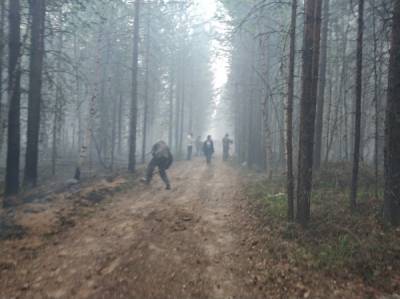Николай Цуканов контролирует ситуацию с лесными пожарами в Югре