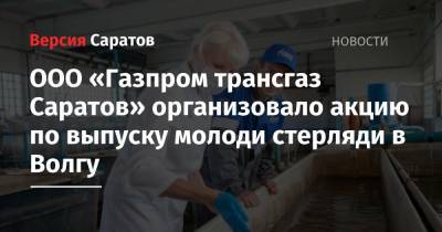 ООО «Газпром трансгаз Саратов» организовало акцию по выпуску молоди стерляди в Волгу