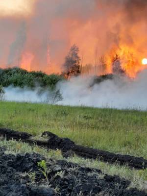 В Челябинской области из-за жары начали гореть леса. Огонь подходит к населенным пунктам