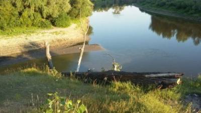 В Тюменской области двое мужчин утонули, спасая ребенка
