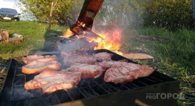 В Чувашии продлили действие двойных штрафов за готовку еды на углях