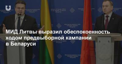 МИД Литвы выразил обеспокоенность ходом предвыборной кампании в Беларуси