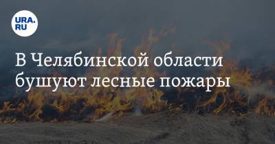 В Челябинской области бушуют лесные пожары