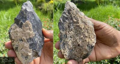 В Эфиопии найден костяной топорик возрастом 1,4 млн лет