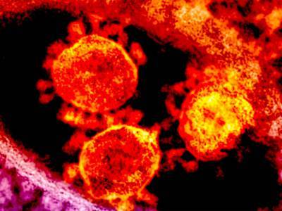 За сутки в Украине обнаружили коронавирус еще у 848 человек