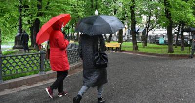 Почти месячная норма осадков выпала в Москве к 16 июля