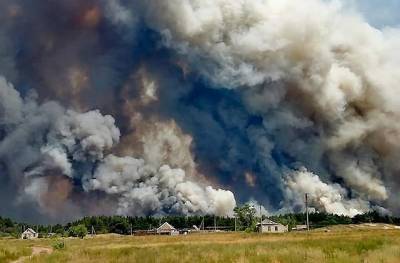 Лесной пожар в Луганской области Украины уничтожил 110 домов