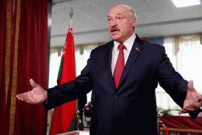 Перед выборами Лукашенко показал свои доходы и имущество
