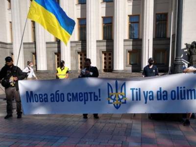 В Киеве под парламентом проходит митинг: люди против законопроекта об обучении на государственном языке