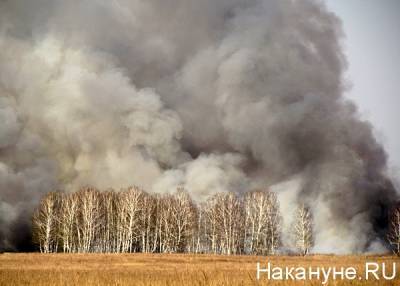 На Южном Урале за сутки произошло 28 природных пожаров