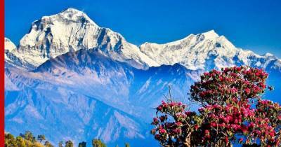 Ученые обнаружили в Гималаях сейсмоопасный разлом