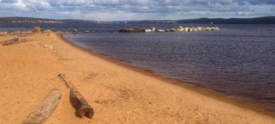 Кишечная палочка на пляже в Петрозаводске в 10 раз превышает норму