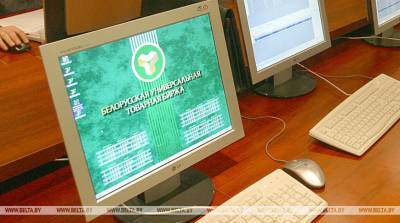 Дополнительная выручка и экономия белорусских участников торгов на БУТБ в I полугодии выросли на 39%
