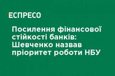 Усиление финансовой устойчивости банков: Шевченко назвал приоритет работы НБУ