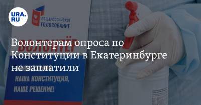 Волонтерам опроса по Конституции в Екатеринбурге не заплатили